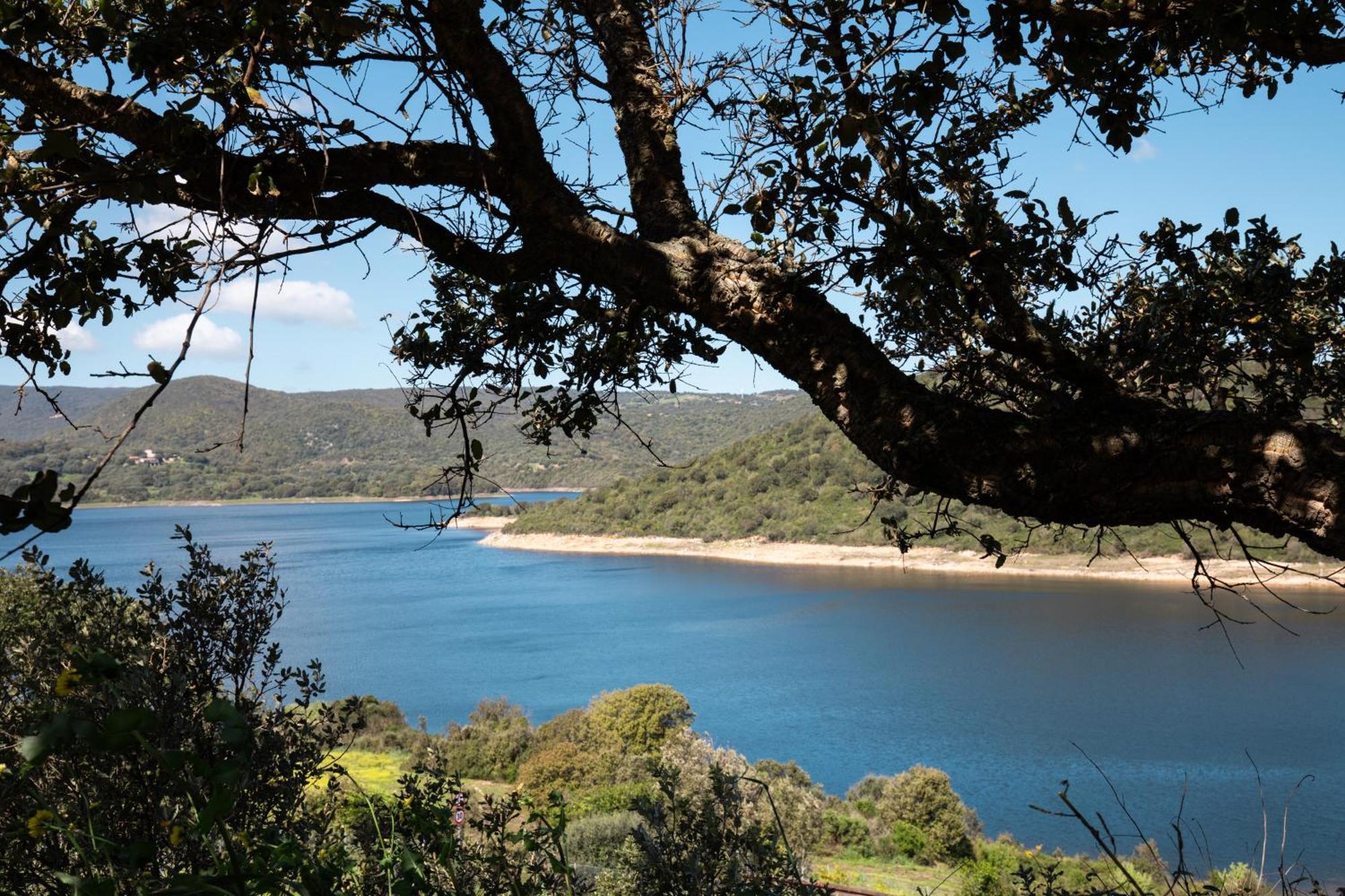 Zaira Home Free Wi-Fi 5 Minuti Dal Lago Liscia Sant'Antonio di Gallura Exterior foto